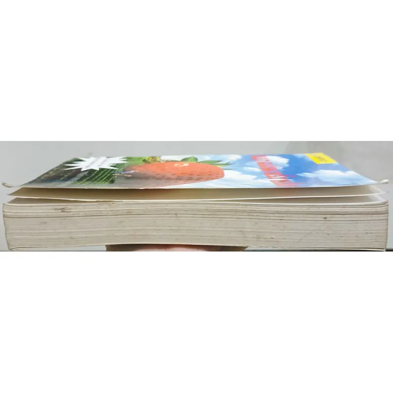 Hạt giống nảy mầm 🌻 695571