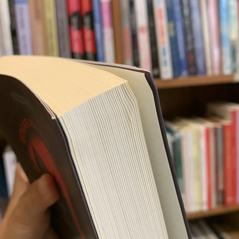 Sự sụp đổ của nhà Usher - Edgar Allan Poe 719567