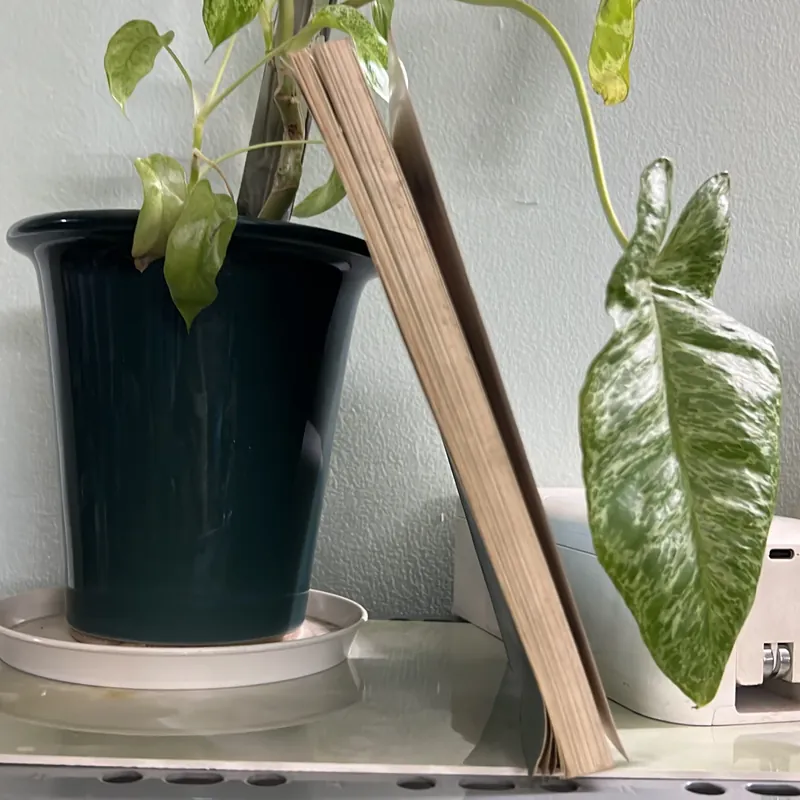 Ai và ky ở xứ sở tàng hình - [56 -> 25] 736358