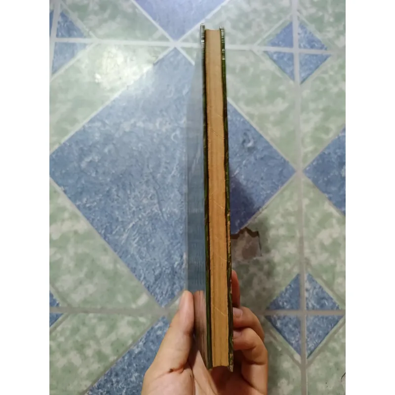 Lục Vân Tiên - Nguyễn Đình Chiểu 1000474