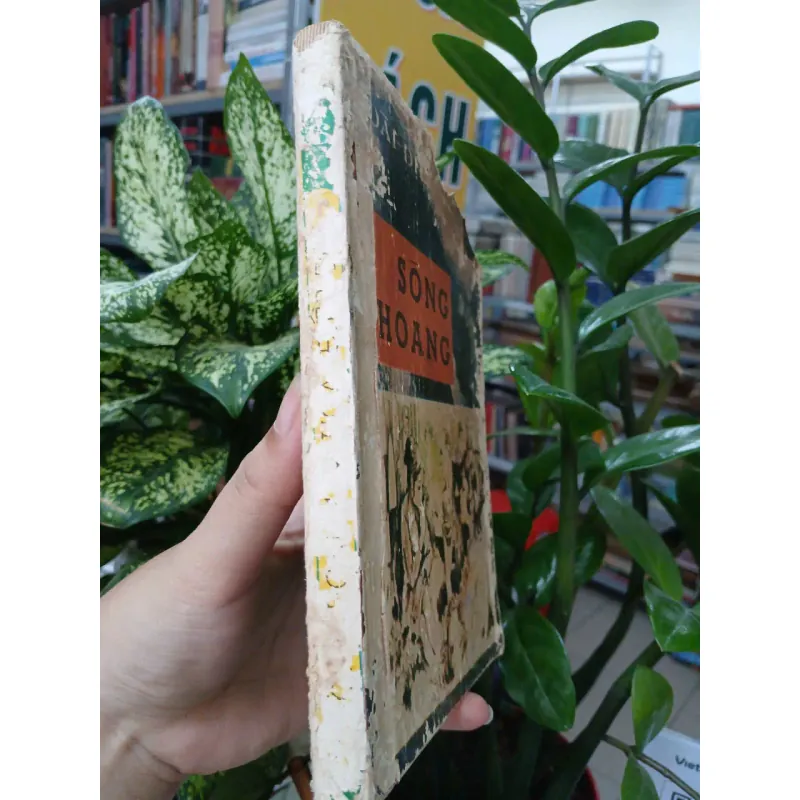 SÓNG HOANG - HOÀI ĐIỆP TỬ 1005414