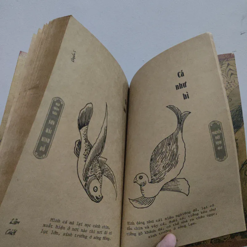 Sơn Hải Kinh Đồ 592734