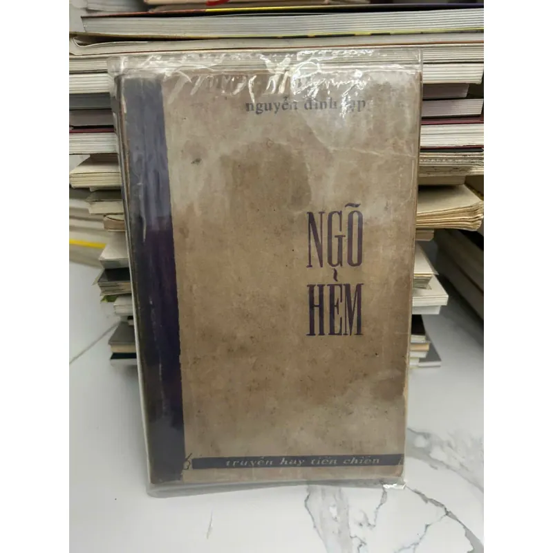 Ngõ Hẻm	Nguyễn Đình Lạp 602326