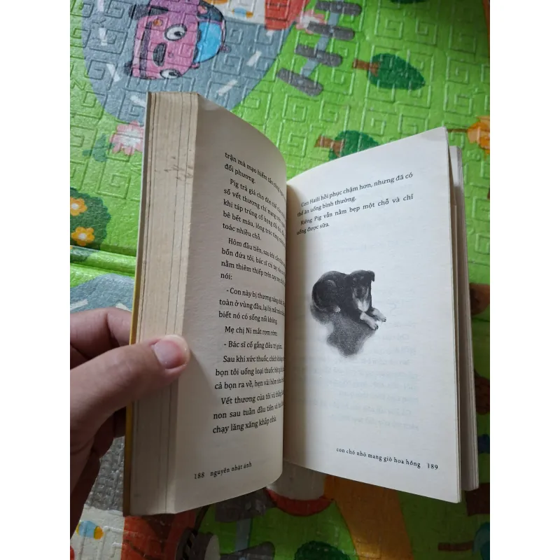 Con chó nhỏ mang giỏ hoa hồng 1037103
