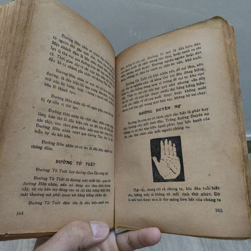 Có Gì Bí Mật Trong Bàn Tay - Jeanne Dujarric 526409