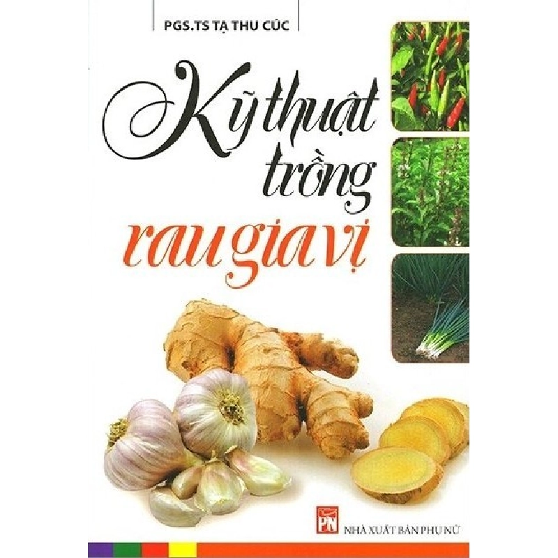 Kỹ thuật trồng rau gia vị - Tạ Thụ cúc STB2703 Khác 535298