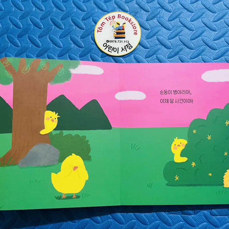 Set Boardbook tiếng Hàn B23 1001339