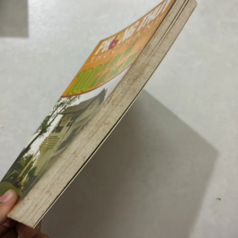 100 ví dụ về đồ giải phong thuỷ  764726