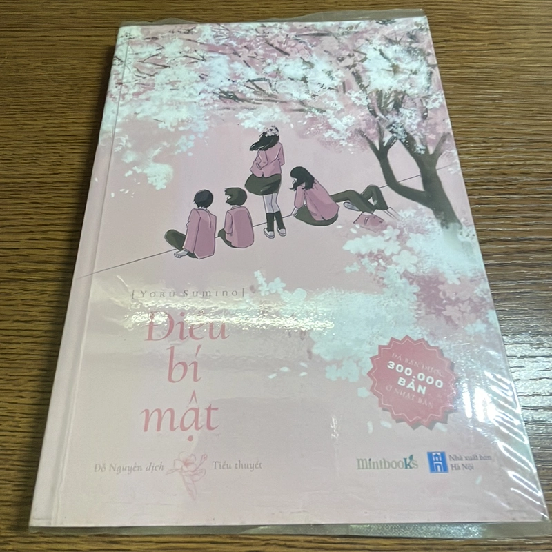 Điều bí mật Yoru Sumino 378288