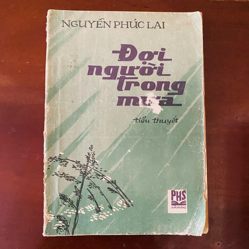 Đợi người trong mưa - Nguyễn Phúc Lai  391441