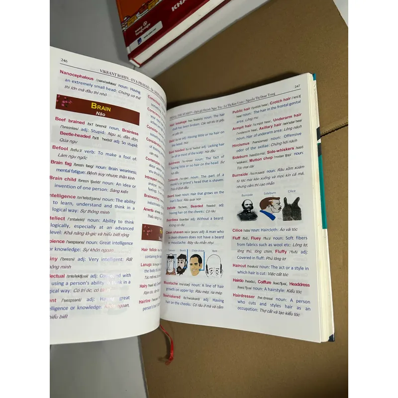 Pehal and Start tuef vựng tiếng anh theo chủ đề 558033