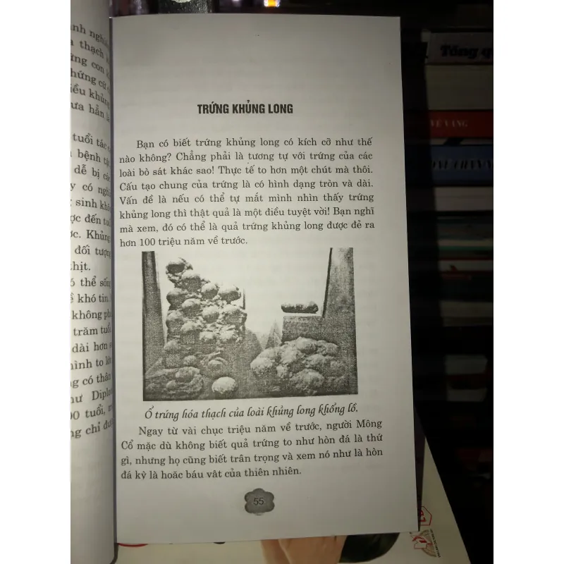 Bí ẩn thế giới khủng long và những điều kỳ thú - Song Linh 763827