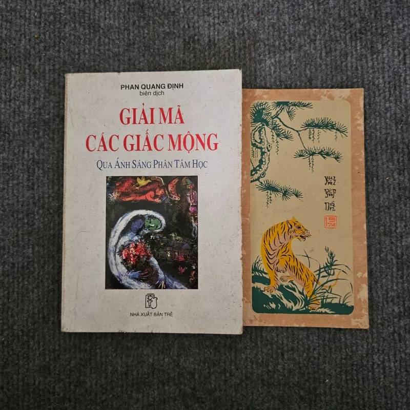 Giải mã các giấc mộng qua ánh sáng phân tâm học 745928