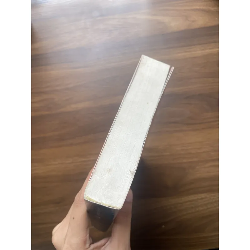 Vượt qua những giới hạn quyển 2 - Nguyễn Trần Bạt 934828