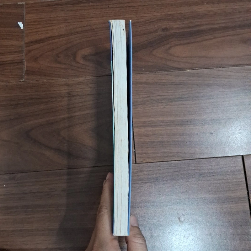 Kể chuyện trạng việt nam 518443