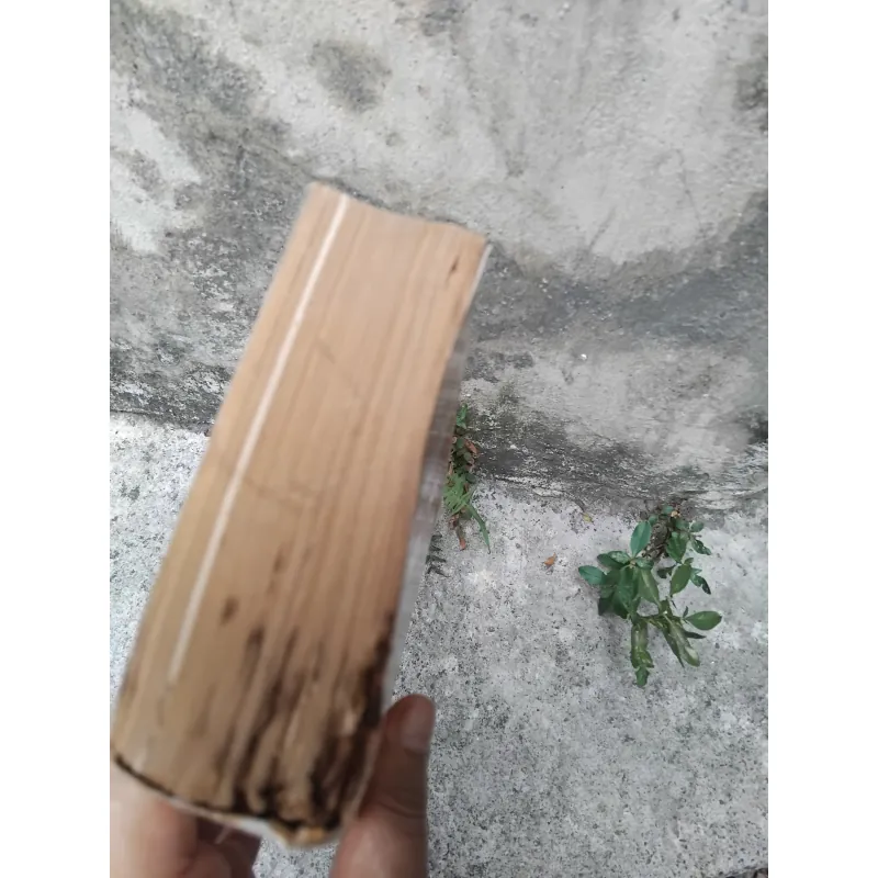 Từ tòa Bạch Ốc đến dinh Độc Lập của Nguyễn Tiến Hưng  1030432
