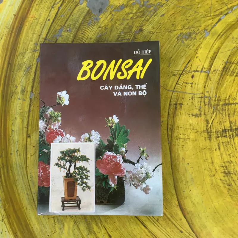BONSAI CÂY DÁNG, THẾ VÀ NON BỘ - ĐỖ HIỆP 759688