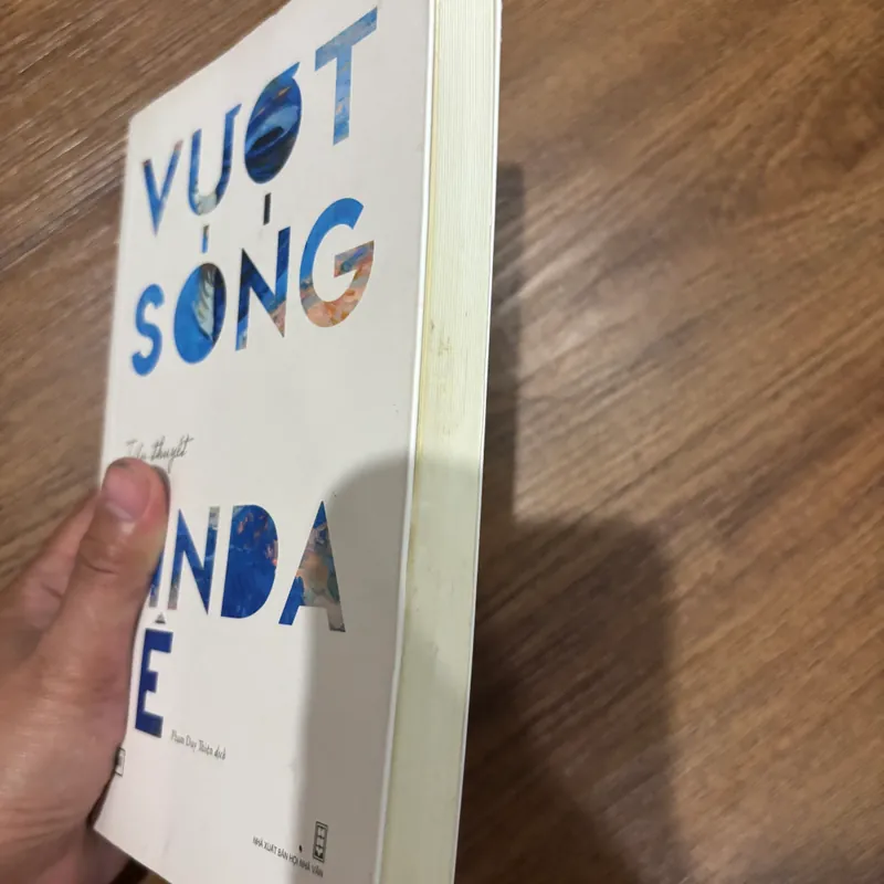 Vượt sóng - Linda Lê 562583