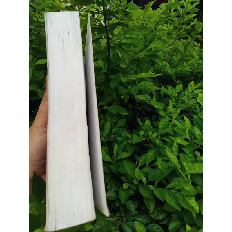 Bố già ( The Godfather ) bản dịch hay nhất của Đặng Phi Bằng  1008252