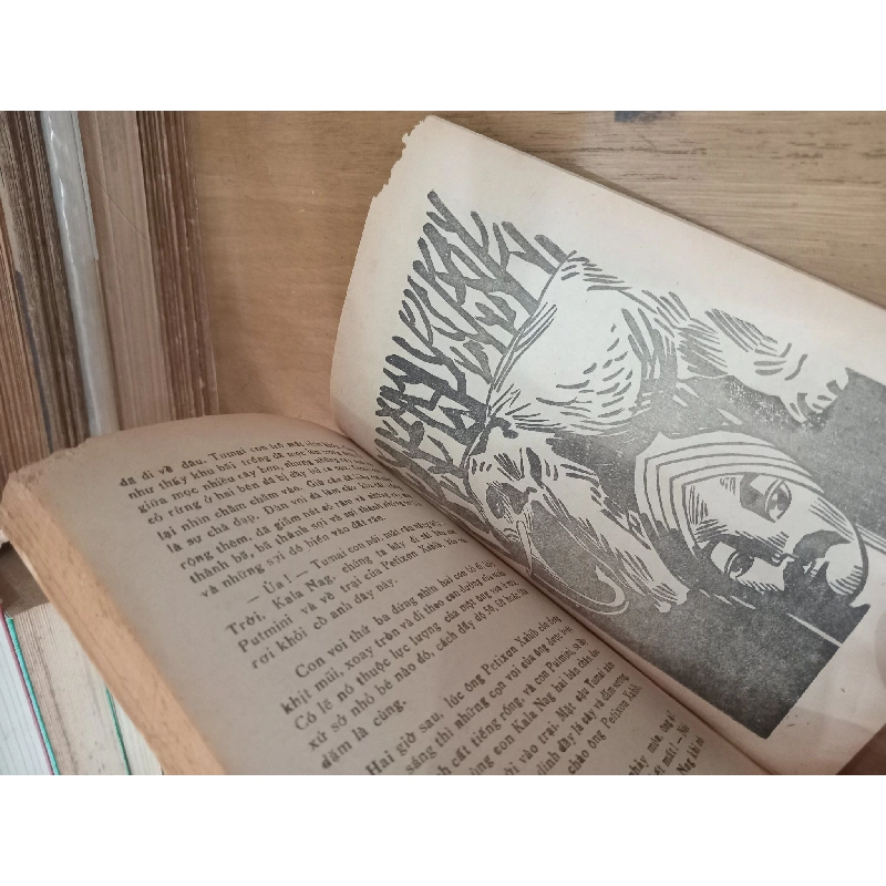 Chuyện Rừng - Rudyard Kipling 377674