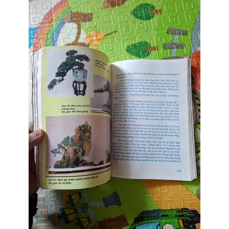 Bonsai - Cây dáng, thế và Non bộ 933891