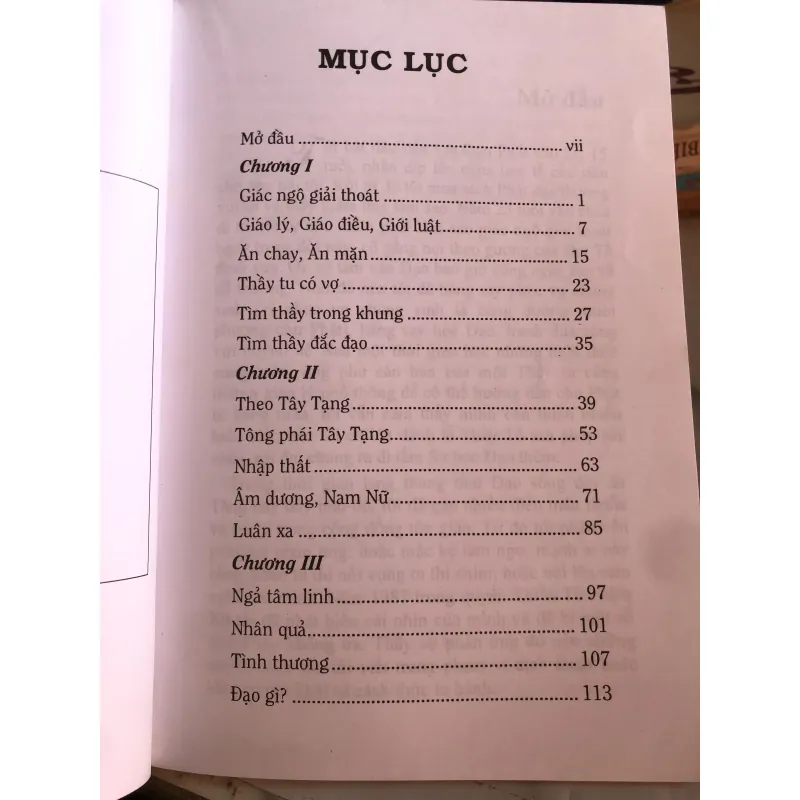 Đạo gì? - Thích Trí Siêu 991323