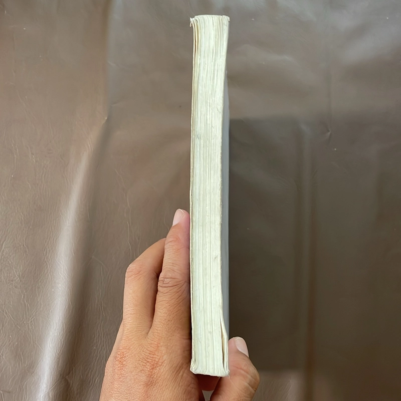 II Tựa sách: Thực Tại Hiện Tiền - Viên Minh 523418