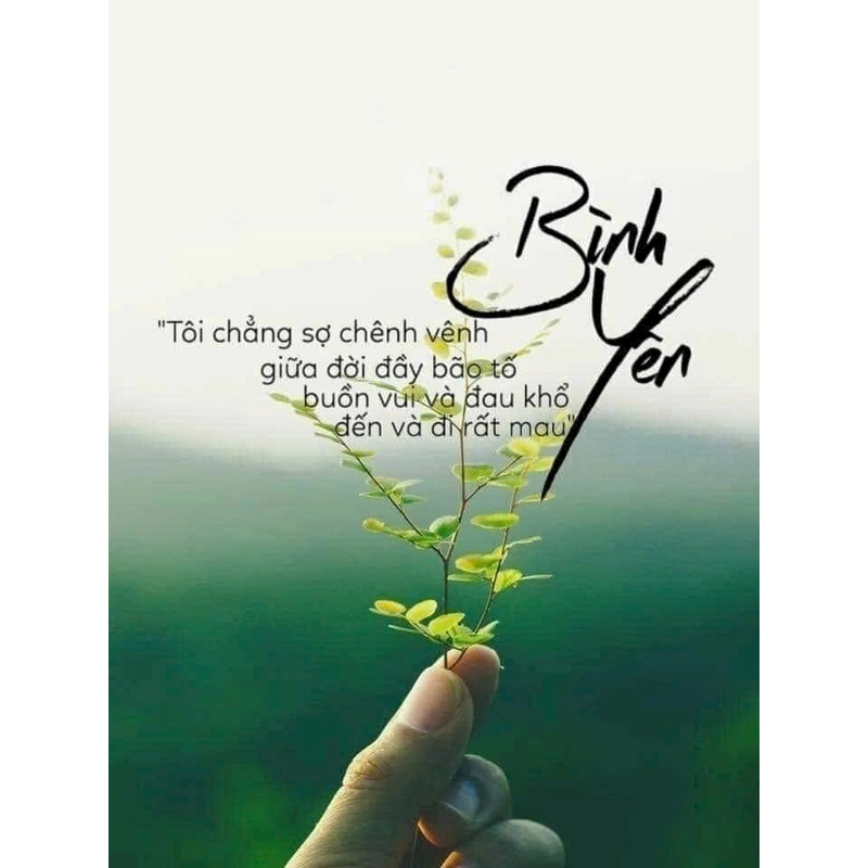 Sách Tinh Tuyển cho Lãnh Đạo Tỉnh Thức - Rất Hay (nhiều sách như hình, giá1400K, bán 799k) 509575