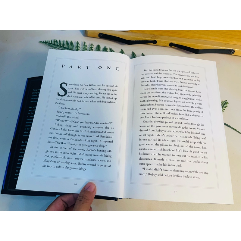 [Sách 2hand từ US] Like new 90% - Wonderstruck – Brian Selznick 472975