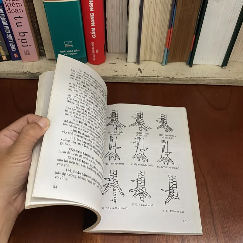 II Tựa Sách: Bí Quyết Chọn Và Nuôi Gà Đá - Xuân Tùng - 2010 607594