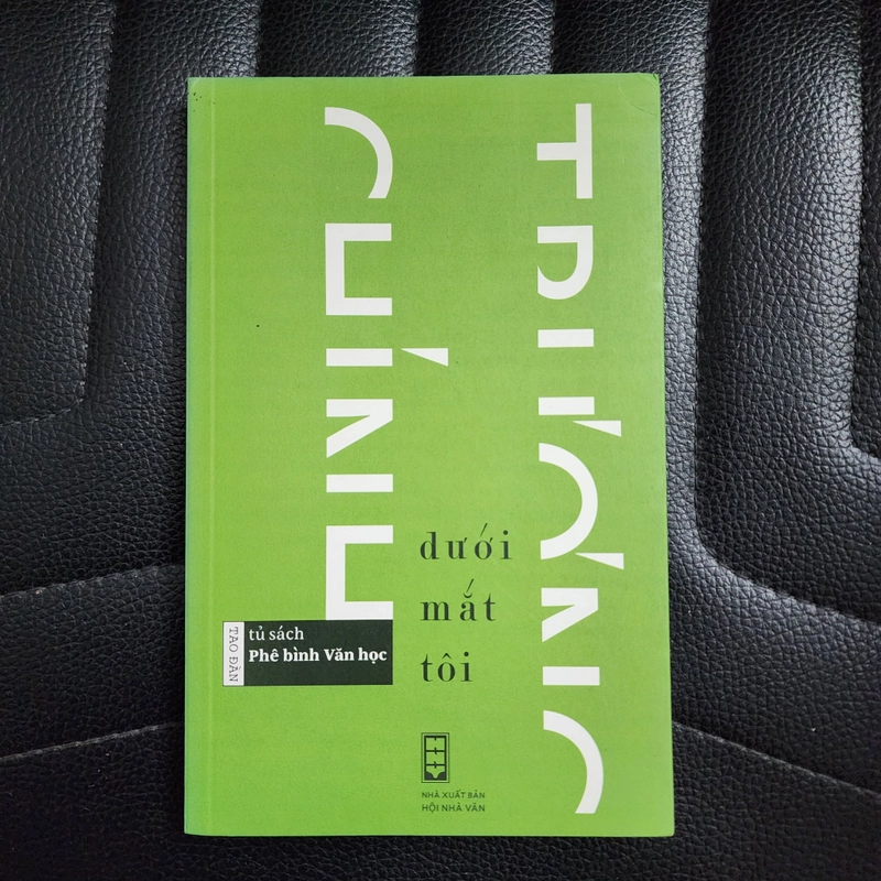 Dưới mắt tôi | Trương Chính 502325