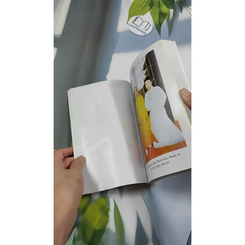 Kinh Nghiệm Niệm Phật Và Những Chuyện Luân Hồi - Cư Sĩ Diệu Âm - Diệu Ngộ 776139