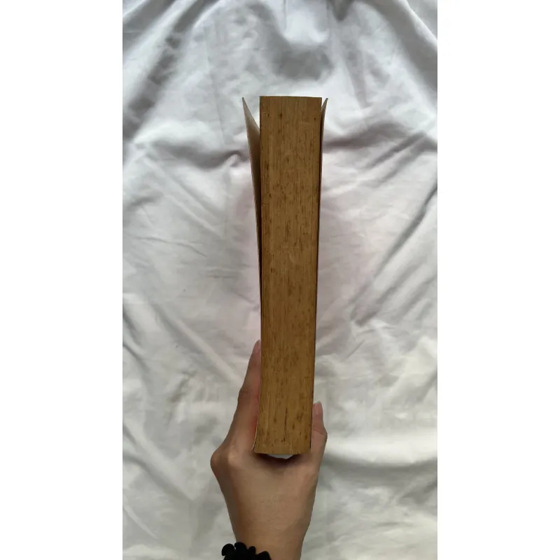 Deliver Us from Evil: Peacekeepers, Warlords and a World of Endless Conflict 793000