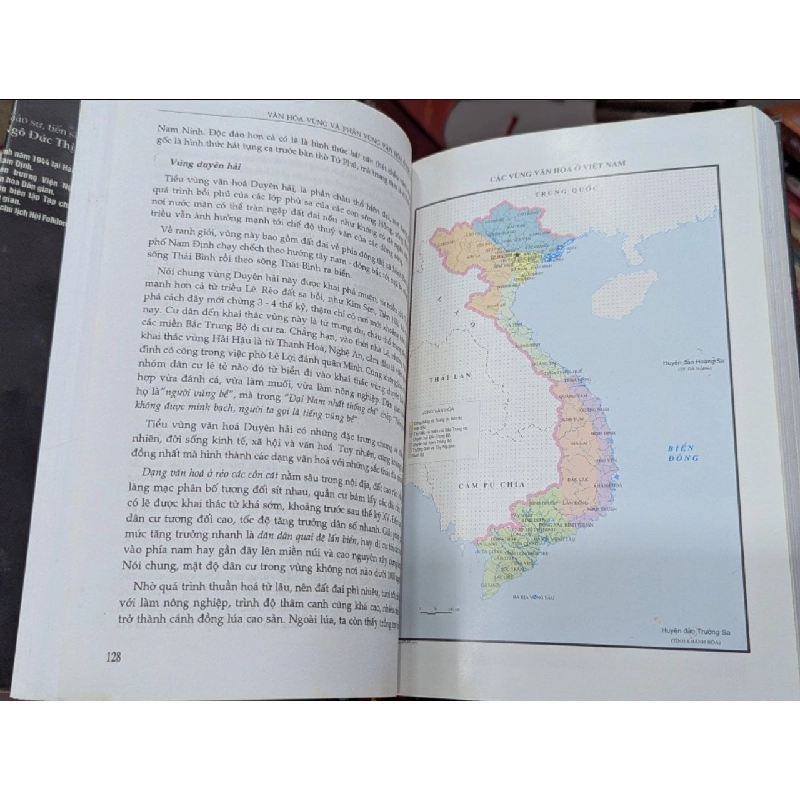 VĂN HÓA VÙNG VÀ PHÂN VÙNG VĂN HÓA Ở VIỆT NAM - Ngô Đức Thịnh 270664