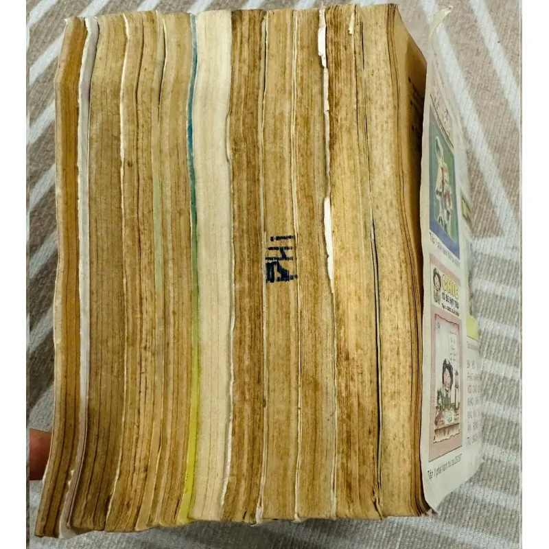 Mankichi đại tướng nhóc con full 10 tập 585678