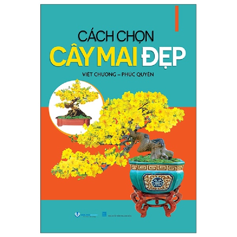 Cách Chọn Cây Mai Đẹp (2025) - Việt Chương , Phúc Quyên 700094