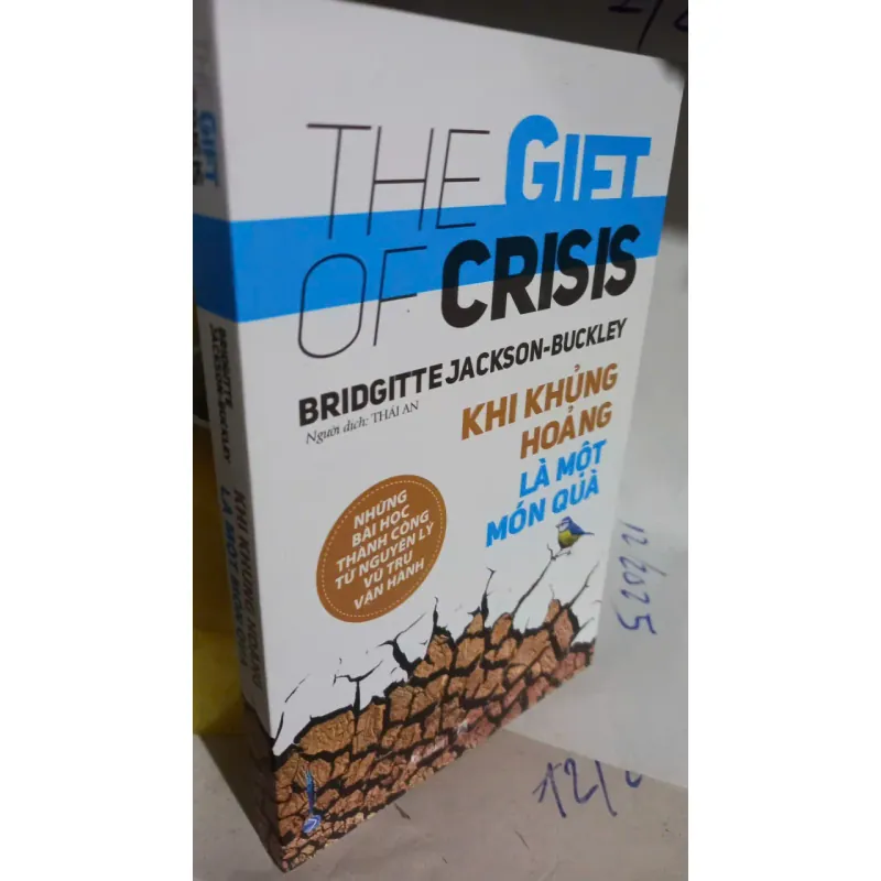khi khủng hoảng là một món quà 797533