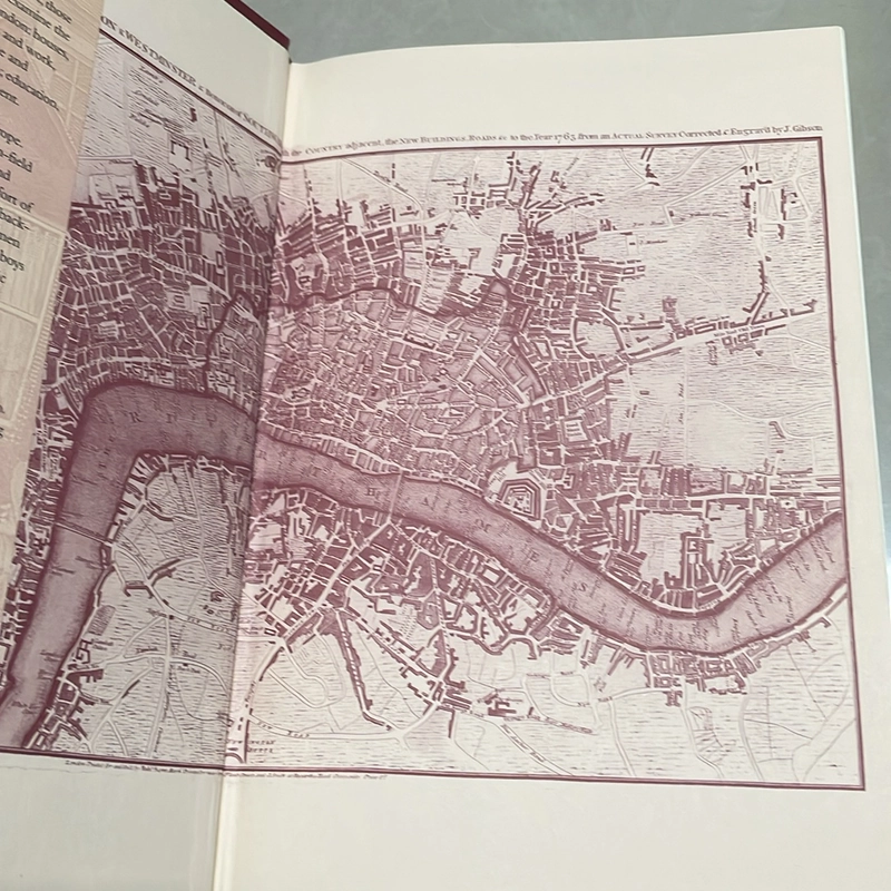 Dr. Johnson’s London - Liza Picard 509344
