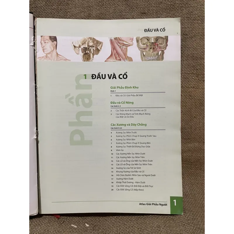 ATLAS GIẢI PHẪU NGƯỜI - FRANK H. NETTER, MD - sách dày, in màu  961604