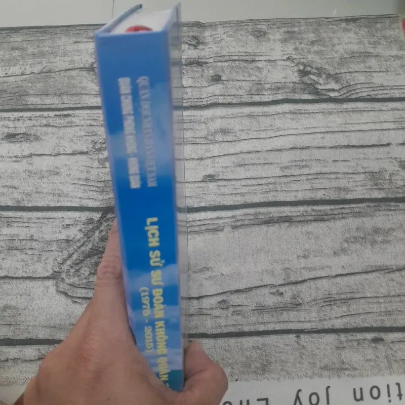 Lịch sử Sư đoàn Không quân 370. Quân chủng Phòng Không- Không Quân 696354