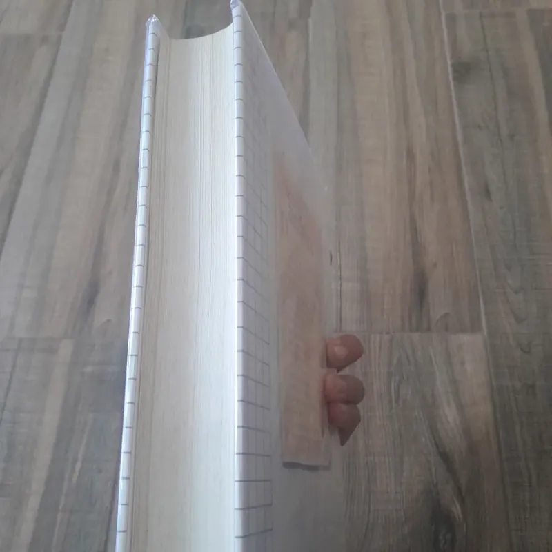 Nền tảng Tâm Lý Học. Nicky Hayes. Nguyên tác Foudations of Psychology.  605062