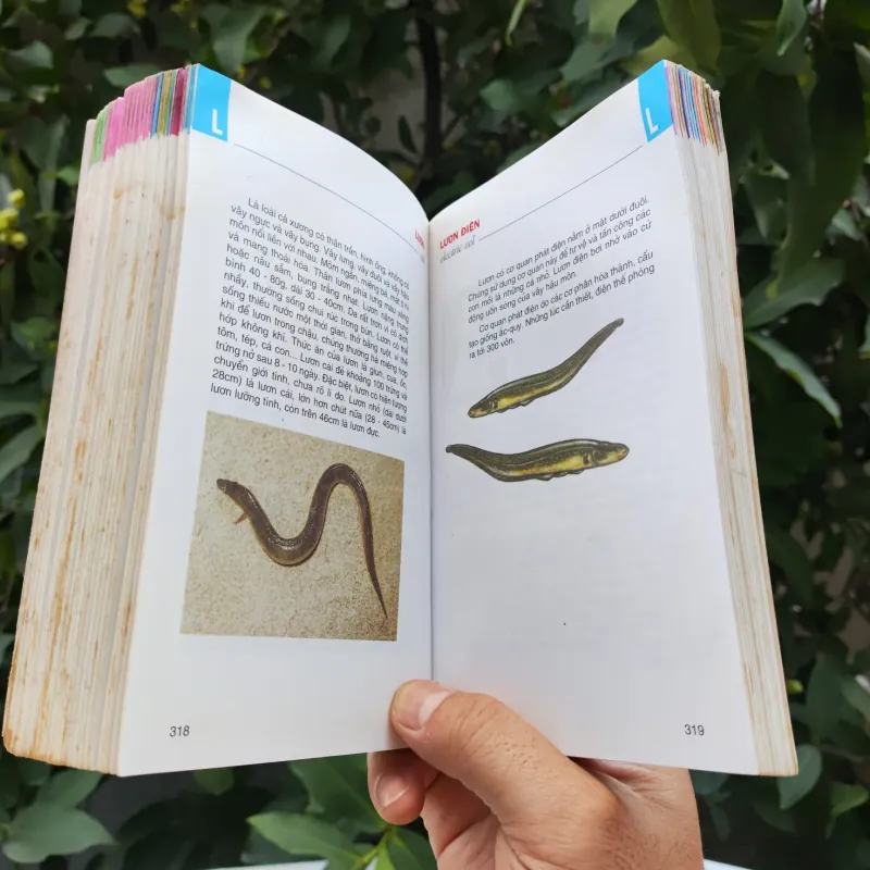 Từ Điển Tranh Về Các Con Vật - Lê Quang Long 753786