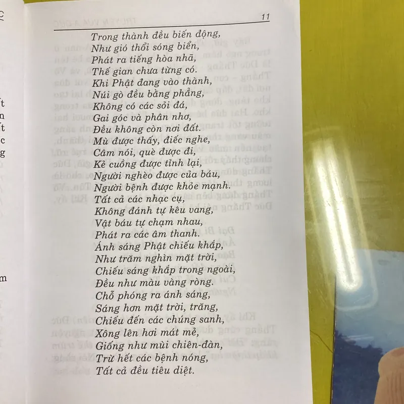 Truyện Vua A Dục - Tam Tạng An Pháp Khâm dịch hán ngữ - Thích Tuệ Thông Việt dịch 605505