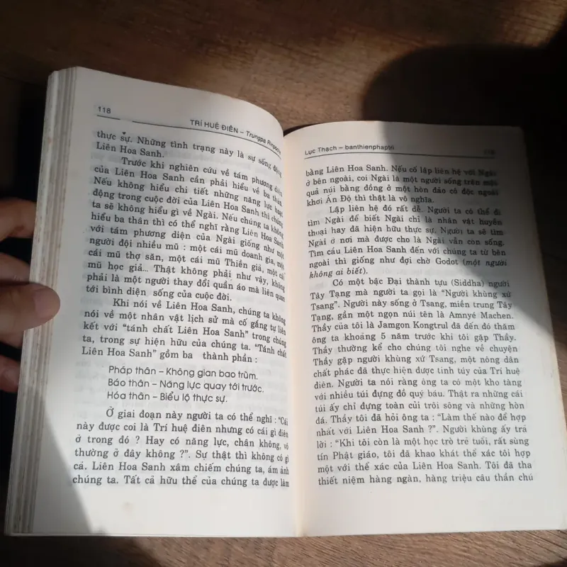 Trí Huệ Điên  763478