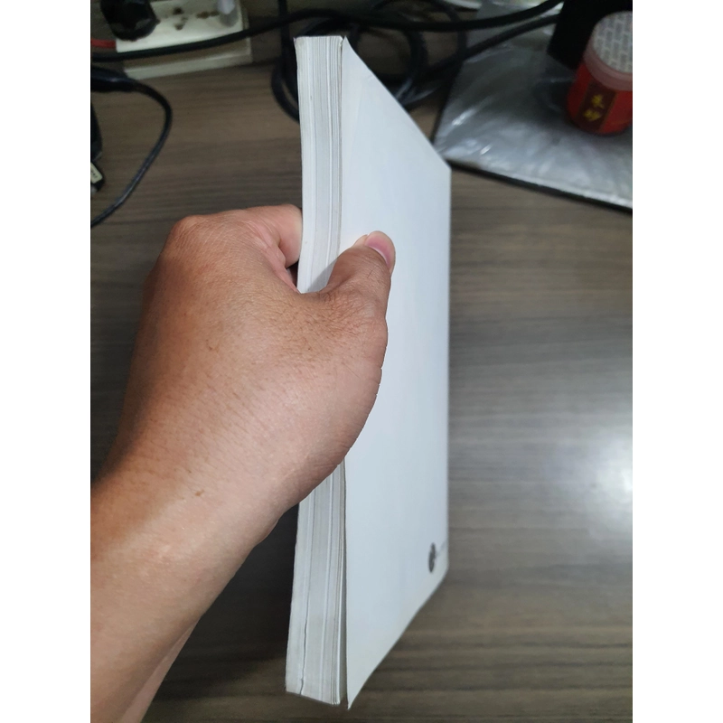 Lịch sử mỹ thuật Việt Nam 499561