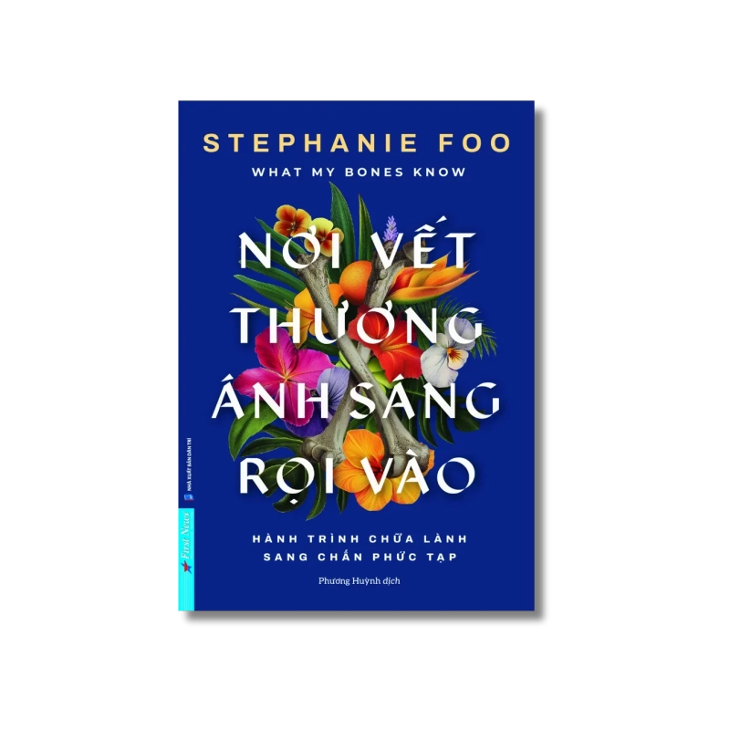 Nơi Vết Thương Ánh Sáng Rọi Vào - Stephanie Foo 729752