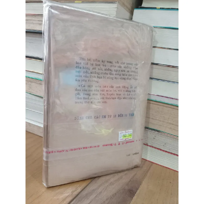 Có một mùa hè - Đặng Ái 717417