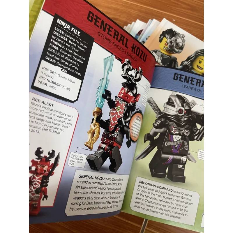 Ninjago lego Character collection 8 books 998245