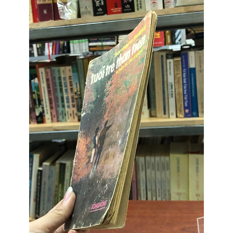 TUỔI TRẺ THẦN TIÊN - HERMAN HESSE 463905