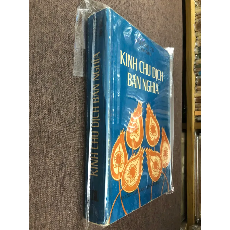 Kinh Chu Dịch Bản Nghĩa 598972